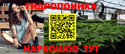 шишки Старая Купавна