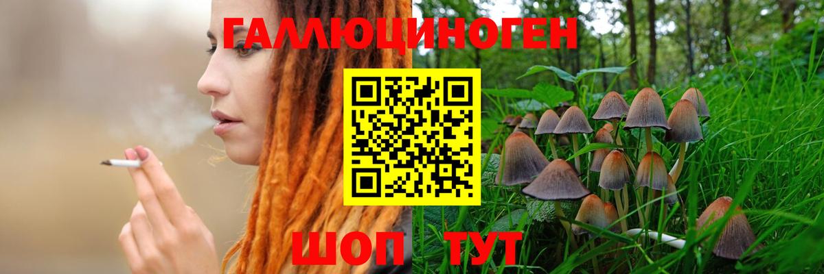 Галлюциногенные грибы мухоморы Отрадное