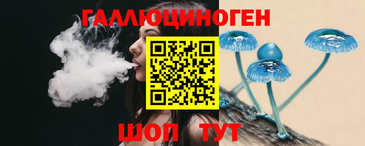 Галлюциногенные грибы Psilocybe  Вход с VPN  Отрадное  Псилоцибиновые грибы GOLDEN TEACHER 